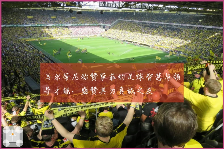 马尔蒂尼称赞萨菲的足球智慧与领导才能,盛赞其为真诚之友